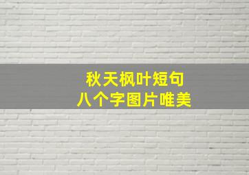 秋天枫叶短句八个字图片唯美