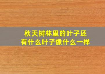 秋天树林里的叶子还有什么叶子像什么一样