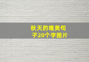 秋天的唯美句子20个字图片