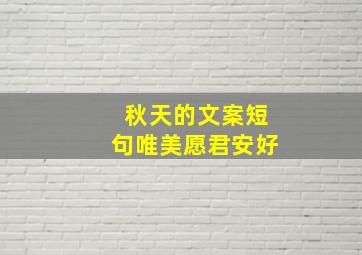 秋天的文案短句唯美愿君安好