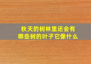 秋天的树林里还会有哪些树的叶子它像什么