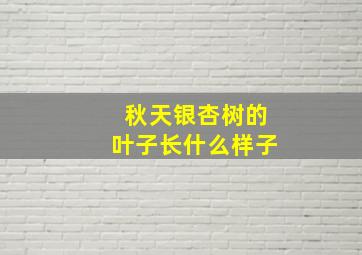 秋天银杏树的叶子长什么样子