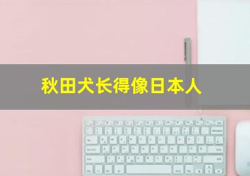 秋田犬长得像日本人