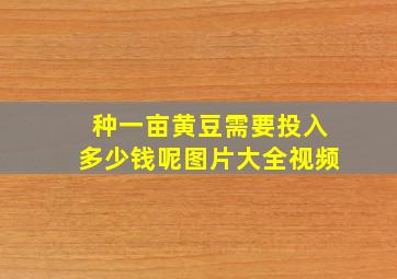 种一亩黄豆需要投入多少钱呢图片大全视频