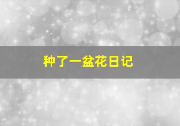 种了一盆花日记