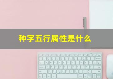 种字五行属性是什么