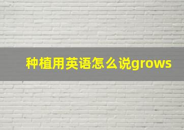 种植用英语怎么说grows