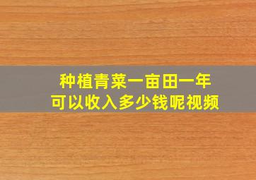 种植青菜一亩田一年可以收入多少钱呢视频