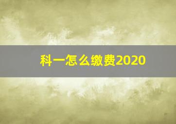 科一怎么缴费2020