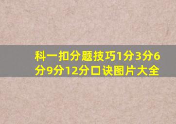 科一扣分题技巧1分3分6分9分12分口诀图片大全