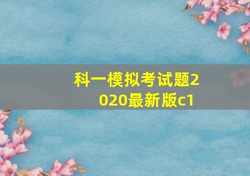 科一模拟考试题2020最新版c1