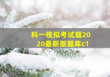 科一模拟考试题2020最新版题库c1