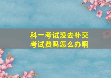 科一考试没去补交考试费吗怎么办啊