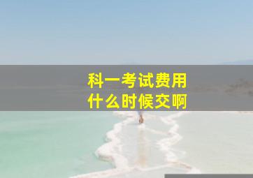 科一考试费用什么时候交啊