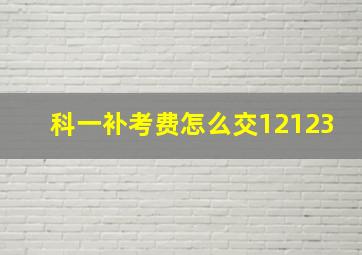 科一补考费怎么交12123