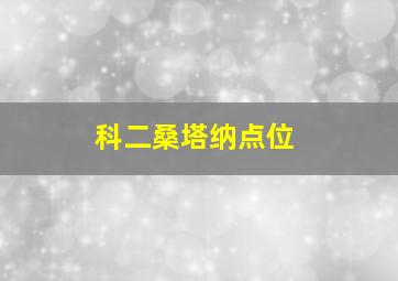 科二桑塔纳点位