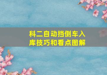 科二自动挡倒车入库技巧和看点图解