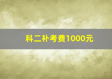 科二补考费1000元