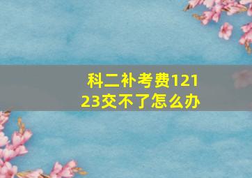 科二补考费12123交不了怎么办