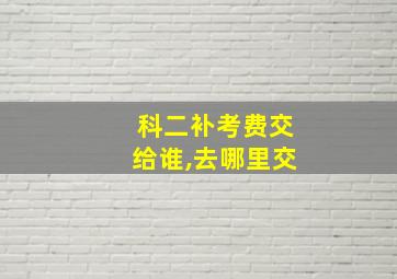 科二补考费交给谁,去哪里交