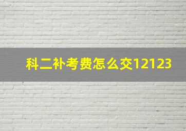 科二补考费怎么交12123