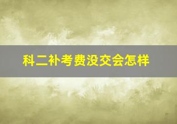 科二补考费没交会怎样