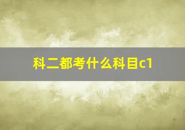 科二都考什么科目c1