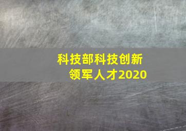 科技部科技创新领军人才2020