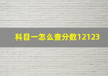 科目一怎么查分数12123