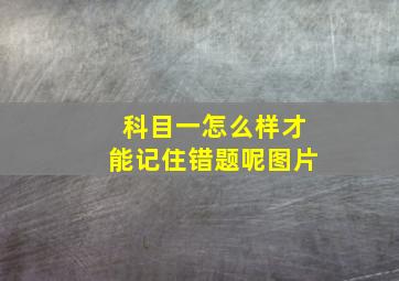 科目一怎么样才能记住错题呢图片