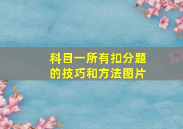 科目一所有扣分题的技巧和方法图片