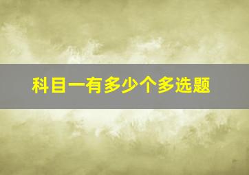 科目一有多少个多选题