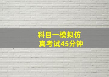 科目一模拟仿真考试45分钟