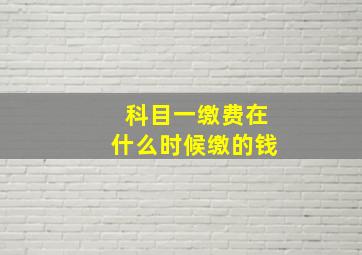 科目一缴费在什么时候缴的钱