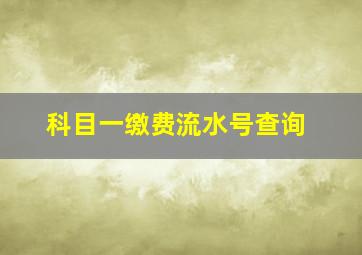 科目一缴费流水号查询