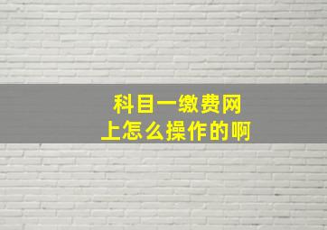 科目一缴费网上怎么操作的啊