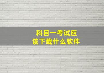 科目一考试应该下载什么软件