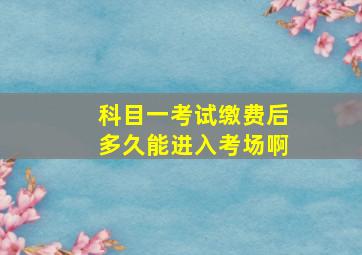 科目一考试缴费后多久能进入考场啊