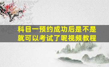 科目一预约成功后是不是就可以考试了呢视频教程