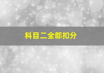 科目二全部扣分