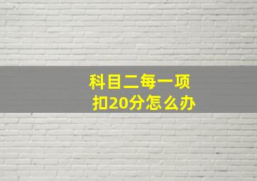 科目二每一项扣20分怎么办