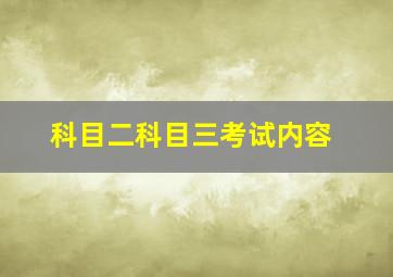 科目二科目三考试内容