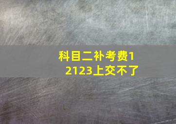 科目二补考费12123上交不了