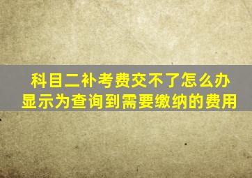 科目二补考费交不了怎么办显示为查询到需要缴纳的费用