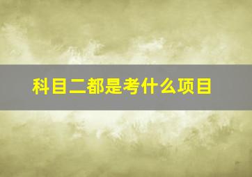 科目二都是考什么项目