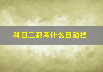 科目二都考什么自动挡