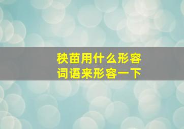 秧苗用什么形容词语来形容一下