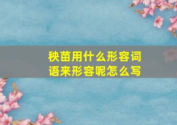 秧苗用什么形容词语来形容呢怎么写