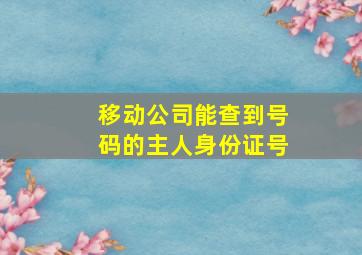 移动公司能查到号码的主人身份证号