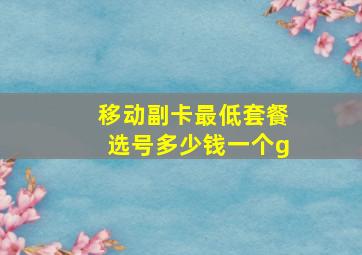 移动副卡最低套餐选号多少钱一个g